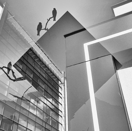 Kacper Bartczak | wiersze i prozy